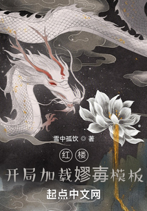 红楼:开局加载蹦0迕夥