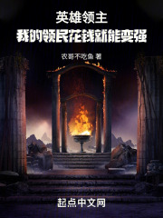 领主英雄 小说